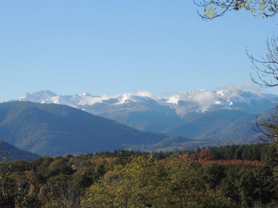 Cabane Dans Les Bois Avec Vue Sur Les Pyrenees Saint-Laurent-de-Neste Exterior photo