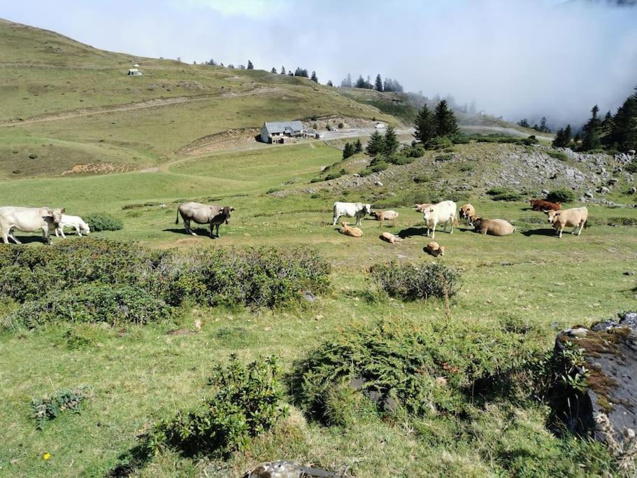 Cabane Dans Les Bois Avec Vue Sur Les Pyrenees Saint-Laurent-de-Neste Exterior photo
